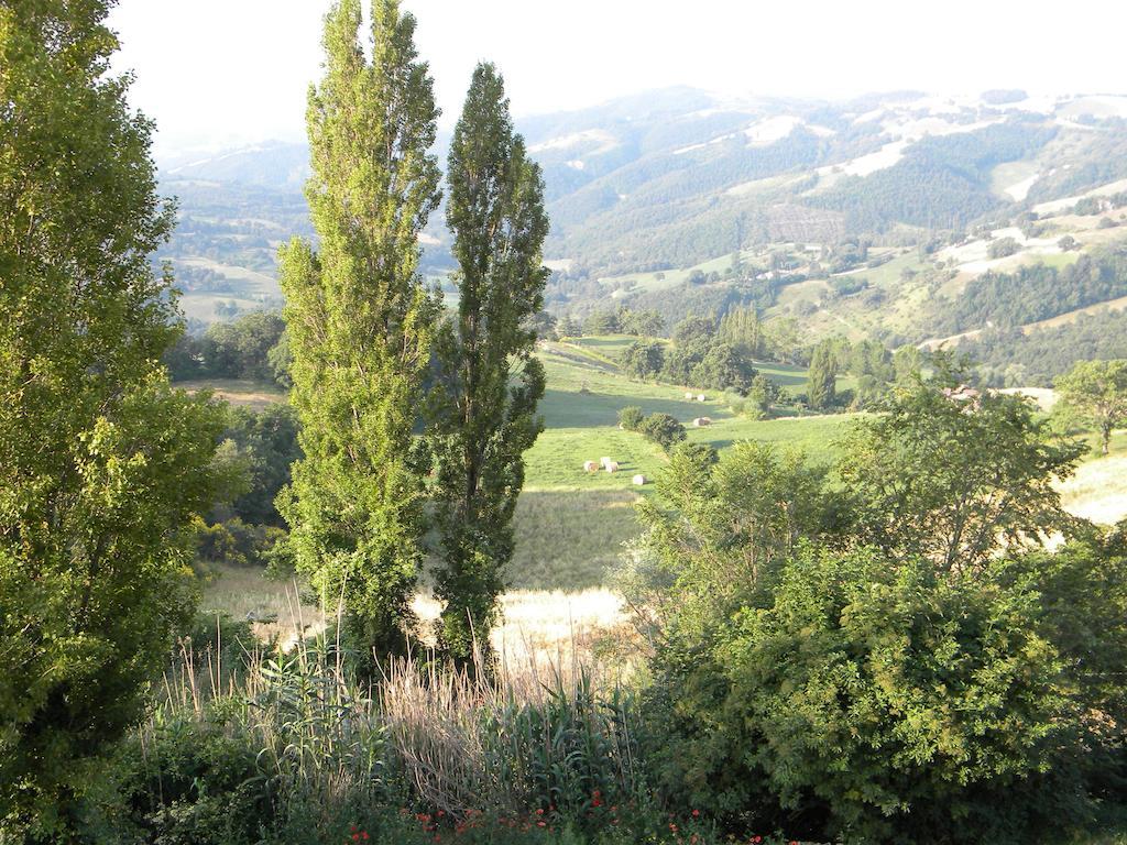 Вилла Agriturismo Borgo San Benedetto Пьетралунга Экстерьер фото