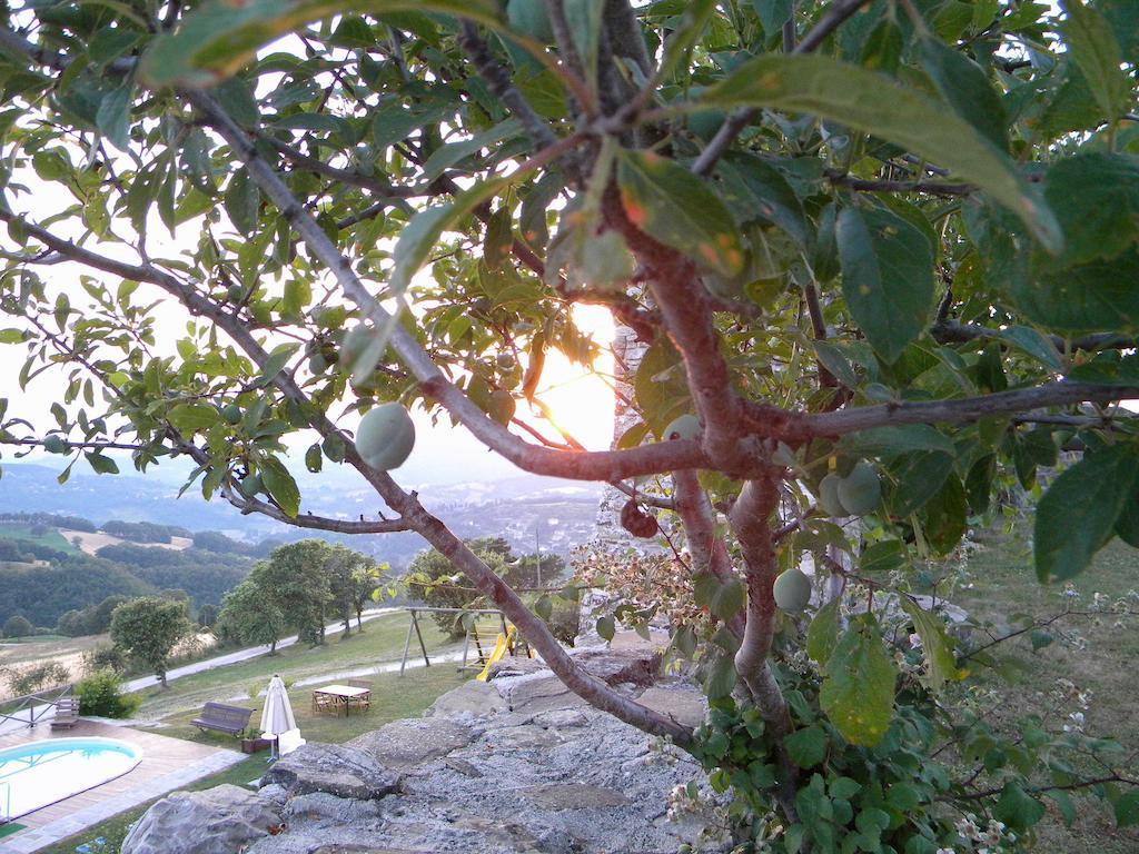 Вилла Agriturismo Borgo San Benedetto Пьетралунга Экстерьер фото